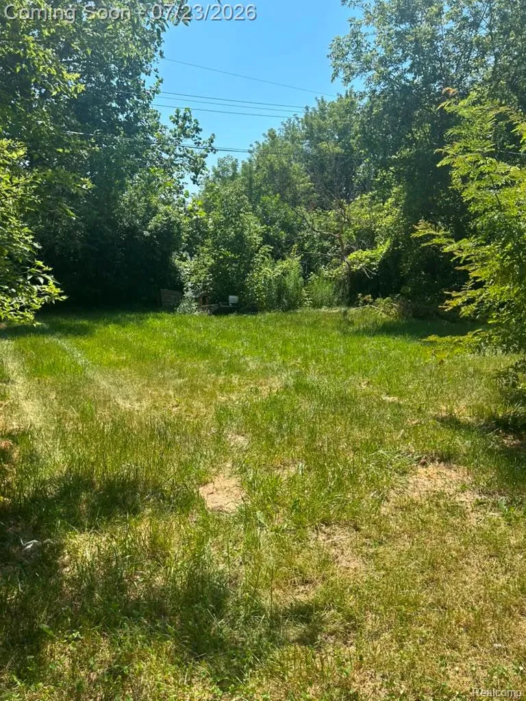 1201 Oleander Drive Mt Morris Township, MI 48458