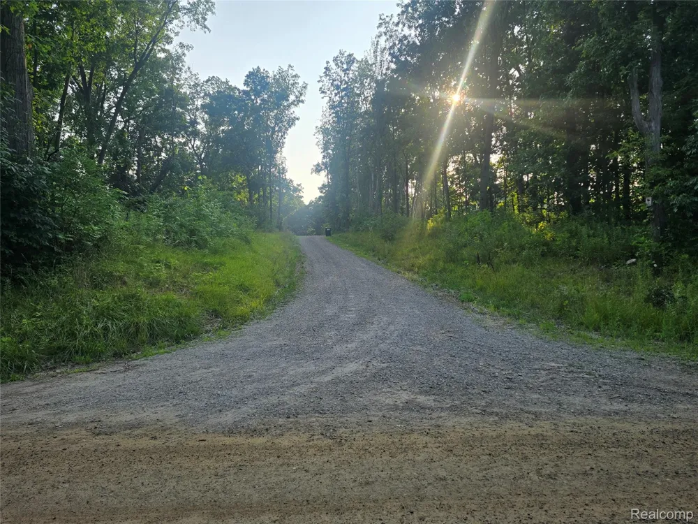 Hughes Road Oceola Township, MI 48843