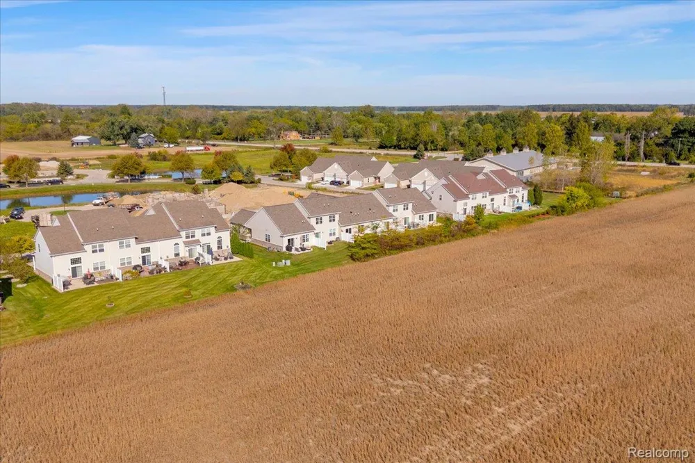 831 Plum Village Drive Raisinville Township, MI 48161