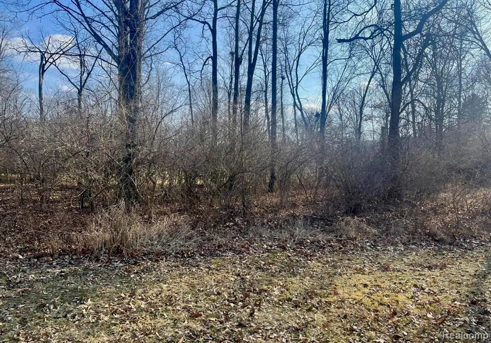 3400 Belgian Circle Summit Township, MI 49203