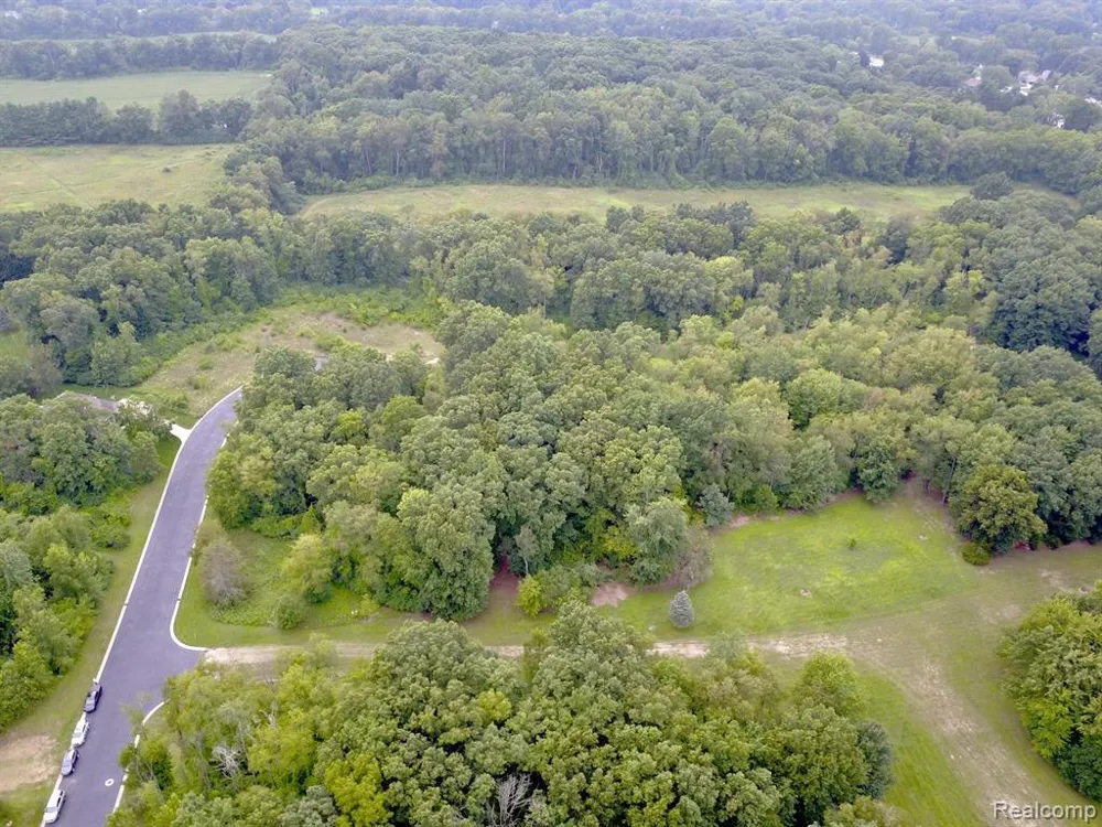3000 Rockingham Way Road Summit Township, MI 49203