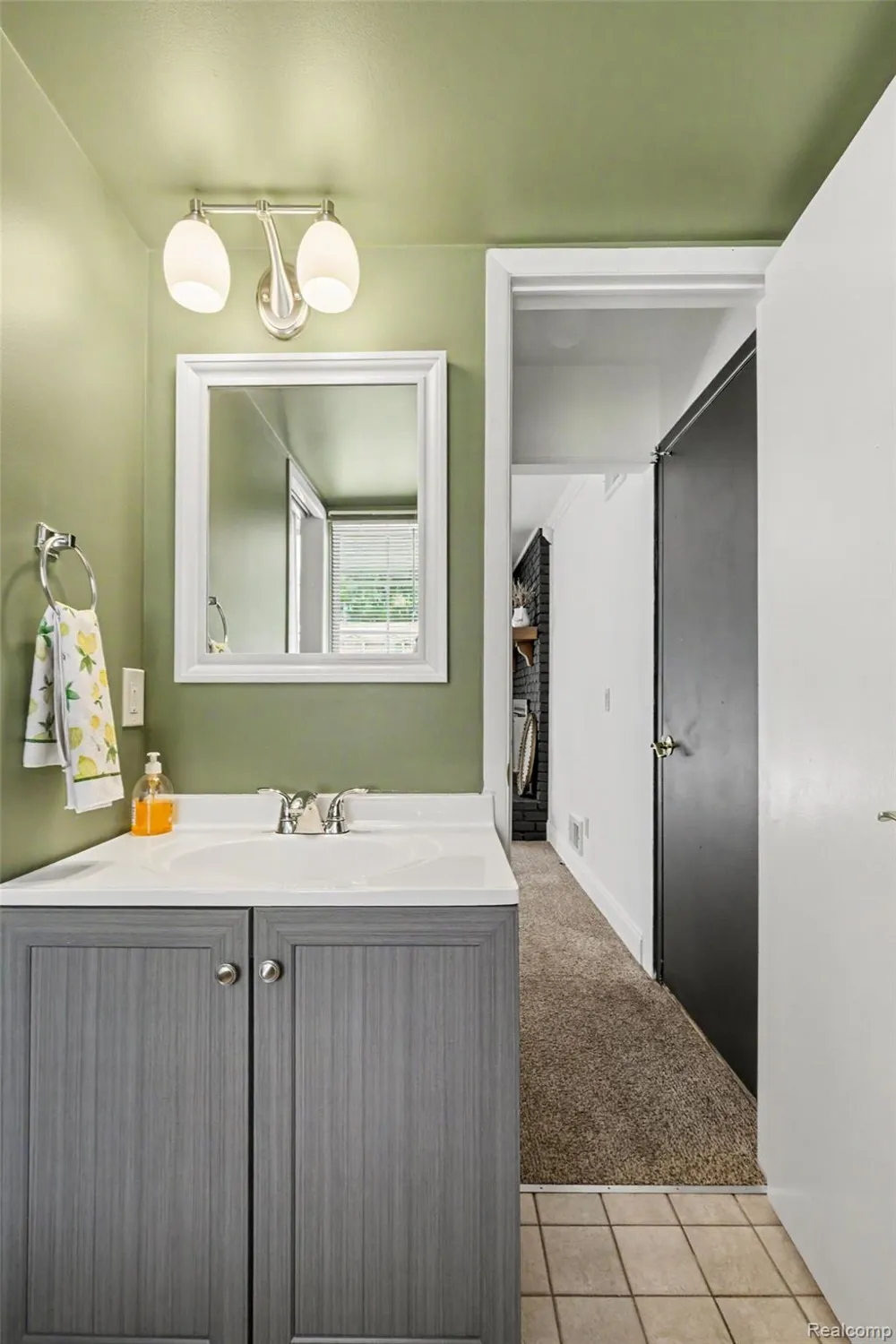 436 Dutch Mill Drive Flushing City, MI 48433