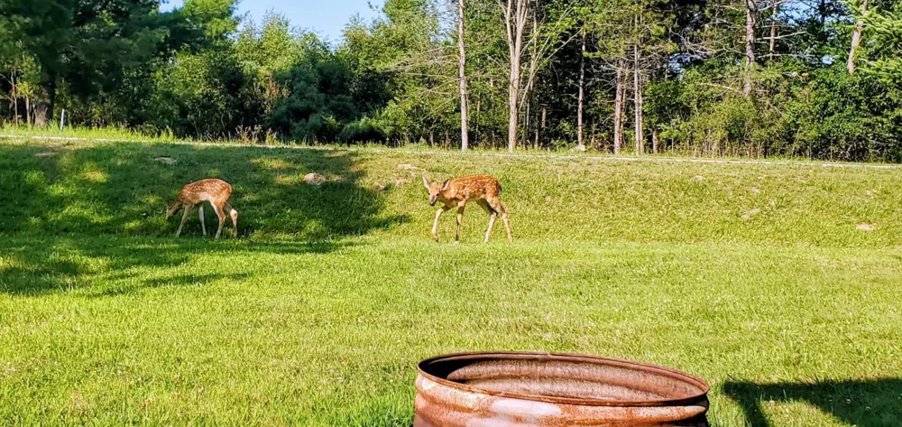 5347 Dover Way Butman Township, MI 48624