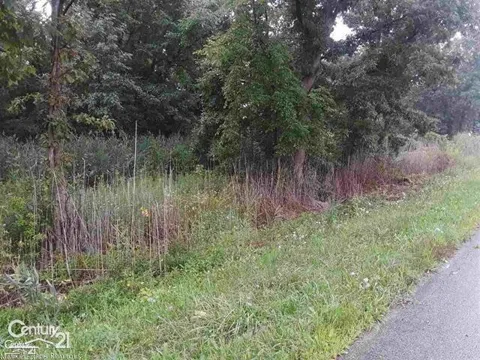 21 Mile Road