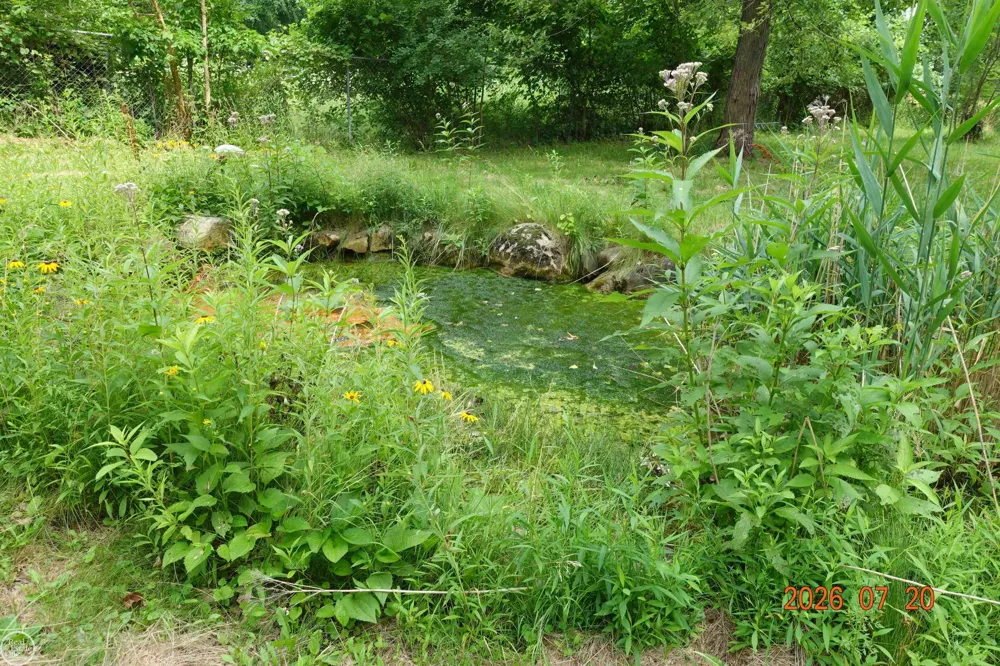 150 FRANCIS LANE Ortonville Village, MI 48462