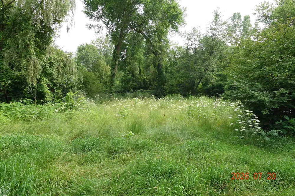 150 FRANCIS LANE Ortonville Village, MI 48462