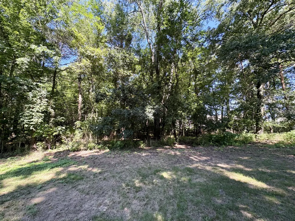 11141 Woodbushe Drive SE Lowell Charter Township, MI 49331