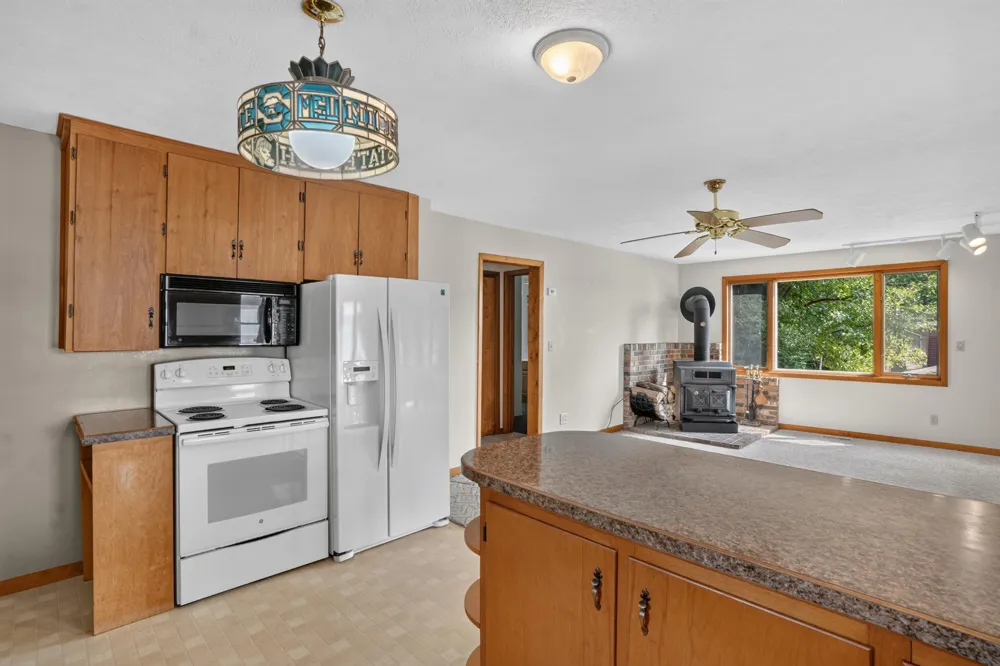 6695 Paradise Park Drive Boston Township, MI 48881
