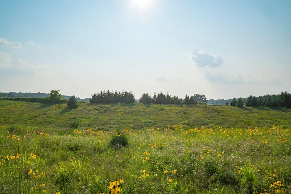 6670 Chaffey Creek Trail Richland Township, MI 49083