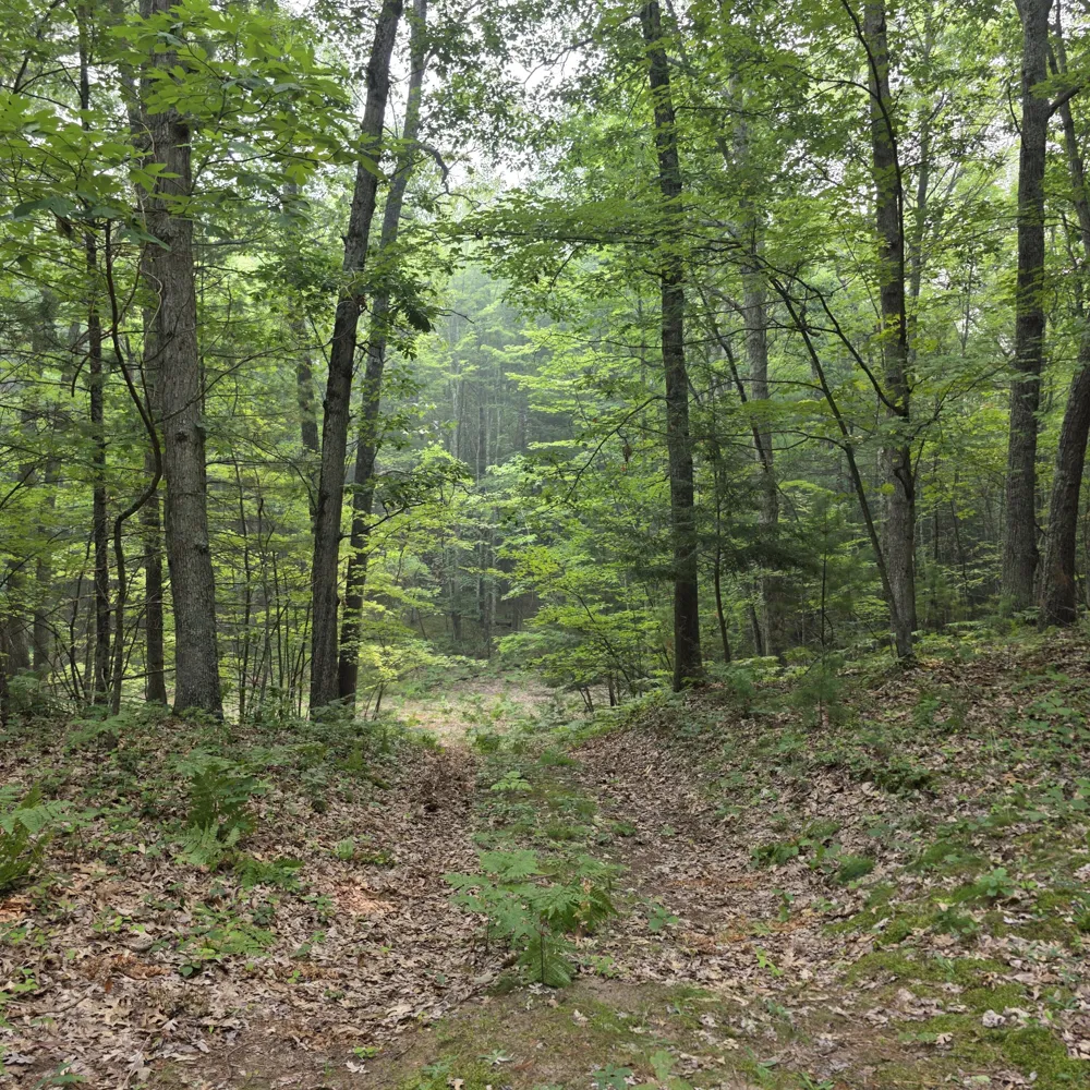 7211 Northern Drive Weare Township, MI 49449