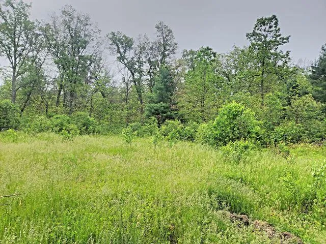 2833 E 40th Street Cherry Valley Township, MI 49642
