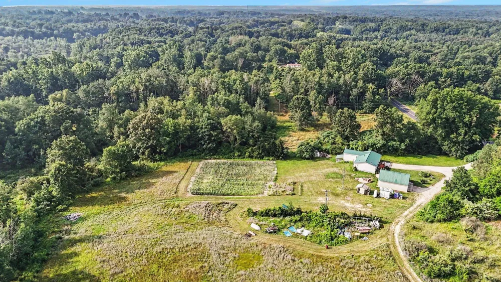 9752 Fuller Road Montcalm Township, MI 48838