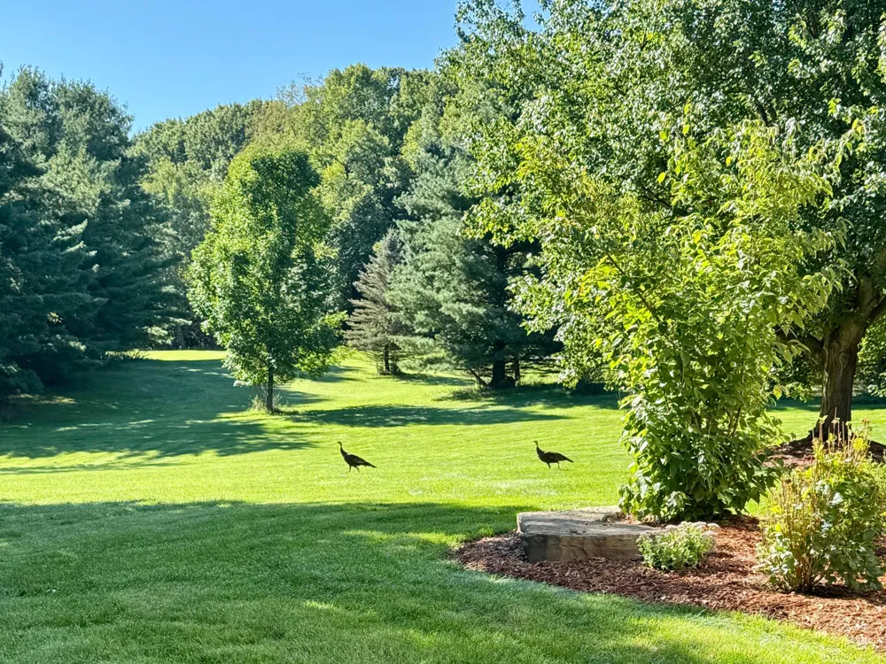 9425 Ravine Ridge Drive SE Caledonia Township, MI 49316