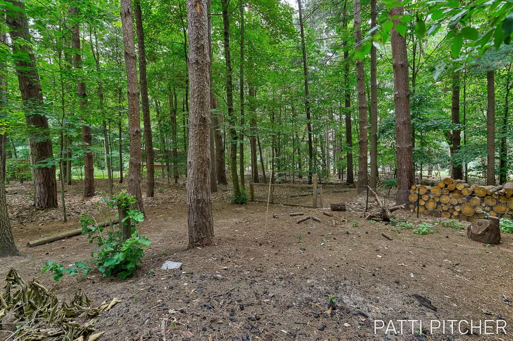 13369 Forest Park Drive Grand Haven Charter Township, MI 49417