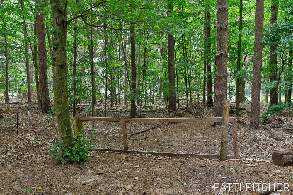 13369 Forest Park Drive Grand Haven Charter Township, MI 49417
