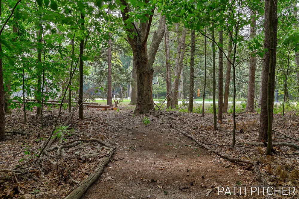 13369 Forest Park Drive Grand Haven Charter Township, MI 49417