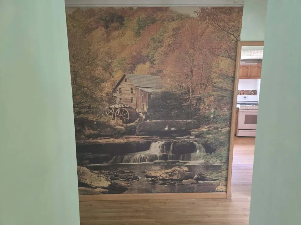 14160 New Millpond Road Big Rapids Charter Township, MI 49307
