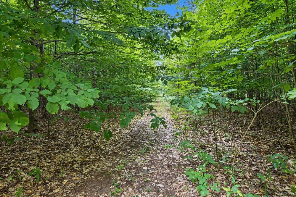 Goshawk Way Kearney Township, MI 49615