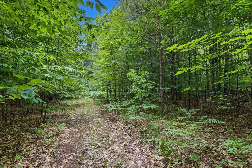 Goshawk Way Kearney Township, MI 49615