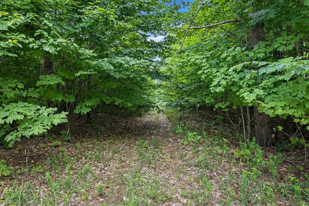 Goshawk Way Kearney Township, MI 49615