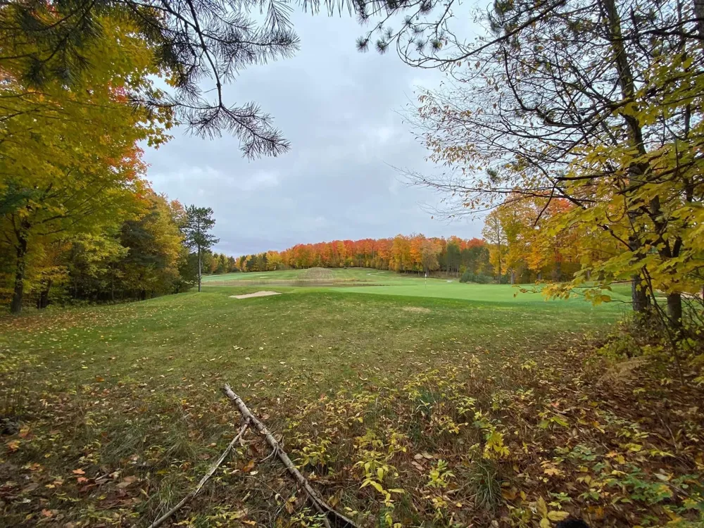 Goshawk Way Kearney Township, MI 49615