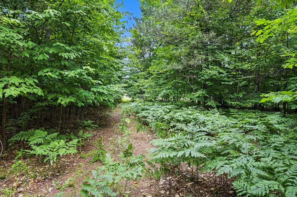Goshawk Way Kearney Township, MI 49615