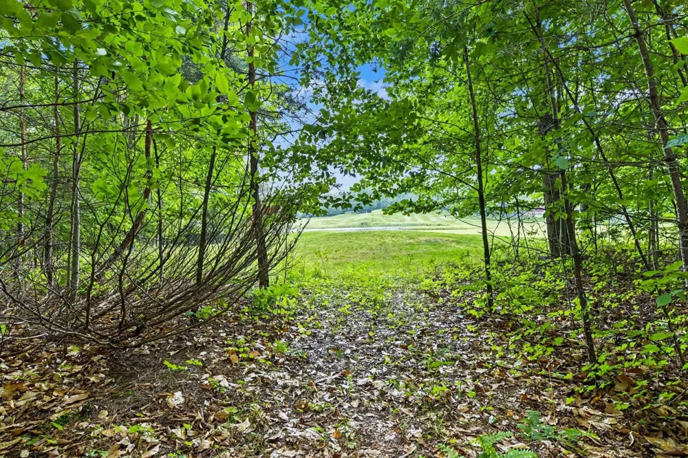 Goshawk Way Kearney Township, MI 49615