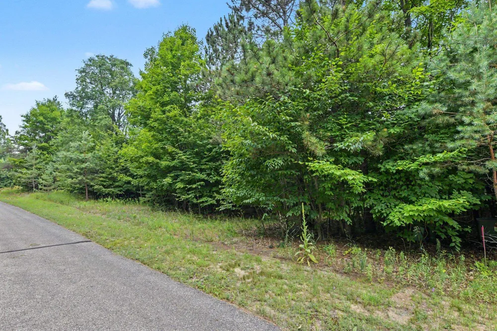 Goshawk Way Kearney Township, MI 49615