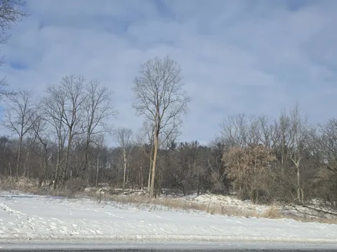 S Pine River Road