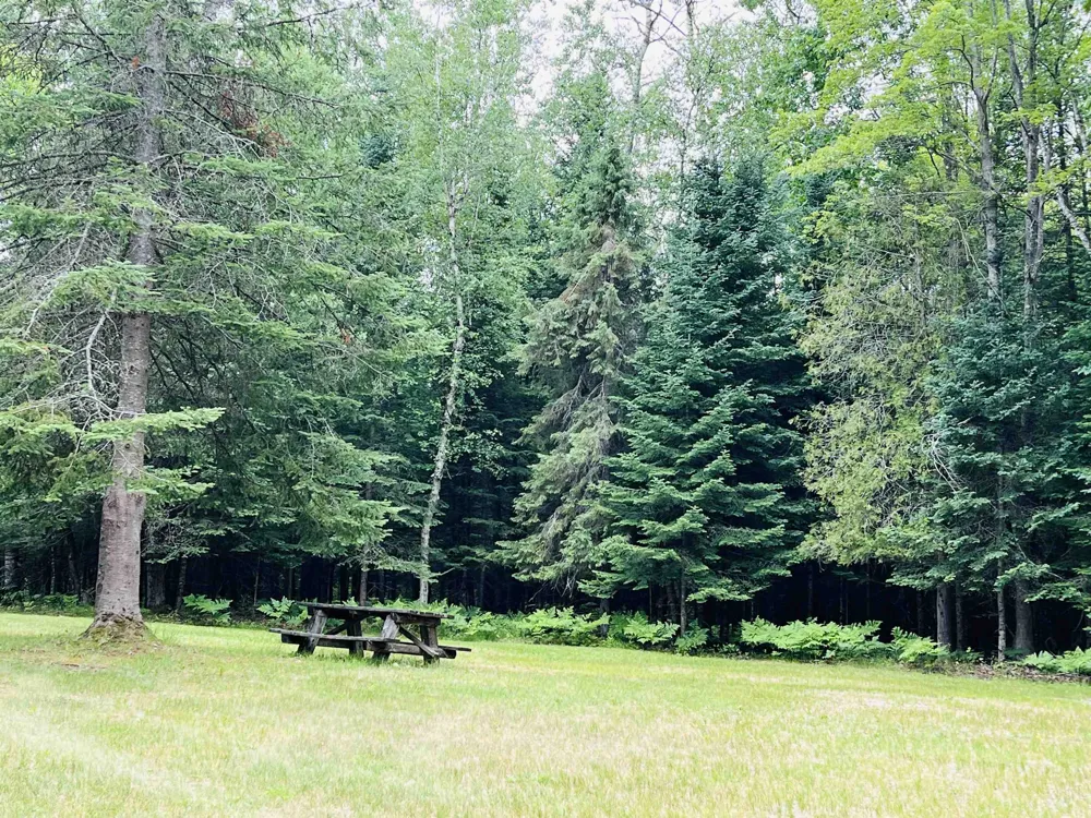 Old M-66 Garfield Township, MI 49633