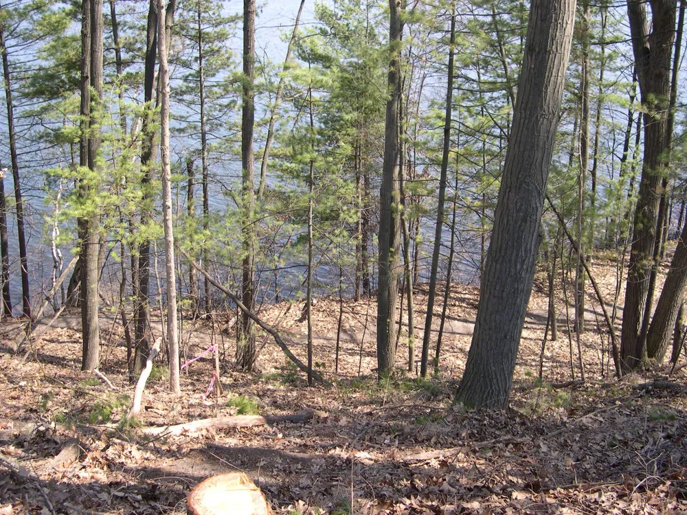 1597 Edgewater Ridge Traverse City City, MI 49684