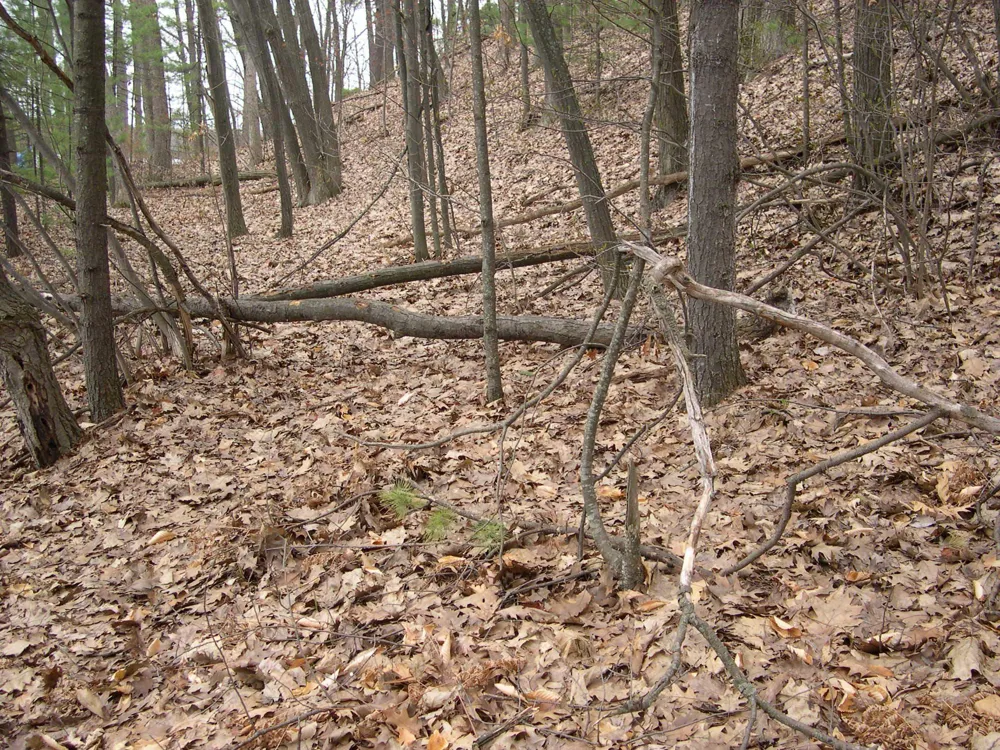 1597 Edgewater Ridge Traverse City City, MI 49684