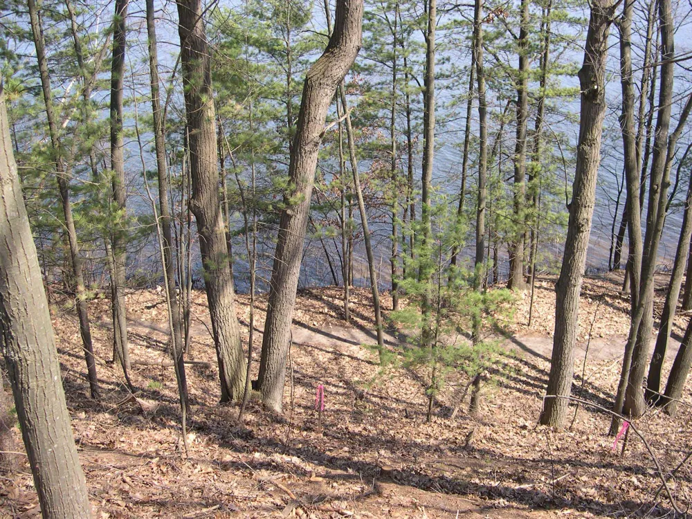 1597 Edgewater Ridge Traverse City City, MI 49684