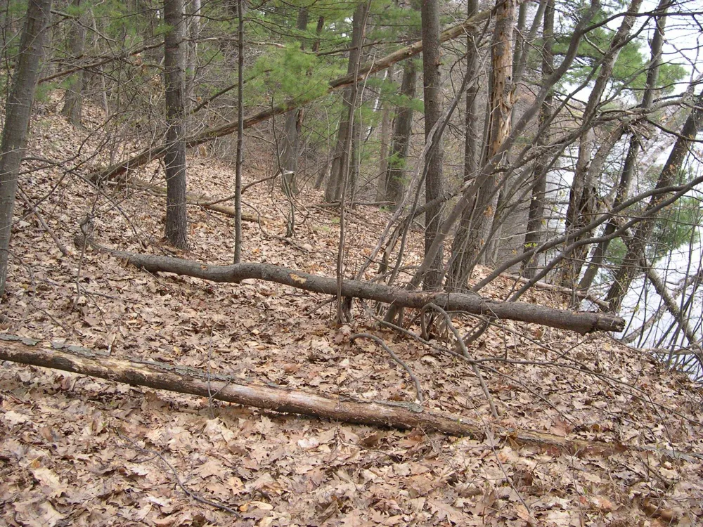 1597 Edgewater Ridge Traverse City City, MI 49684