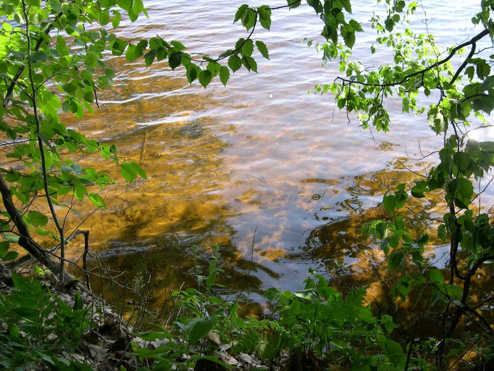 1597 Edgewater Ridge Traverse City City, MI 49684