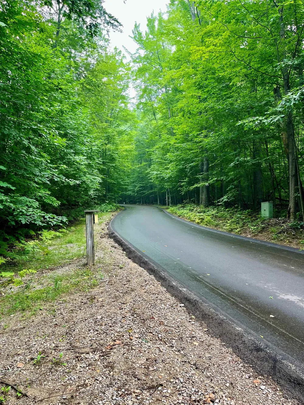 Forest Trail Custer Township, MI 49615