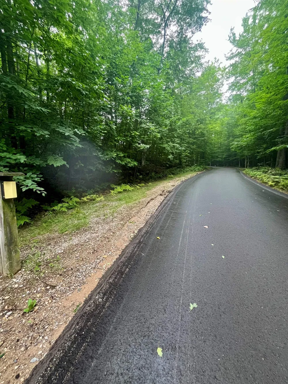 Forest Trail Custer Township, MI 49615