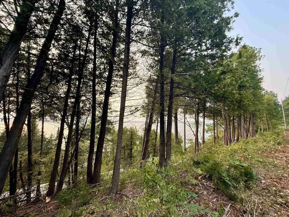 Lake Leelanau Drive Leland Township, MI 49653