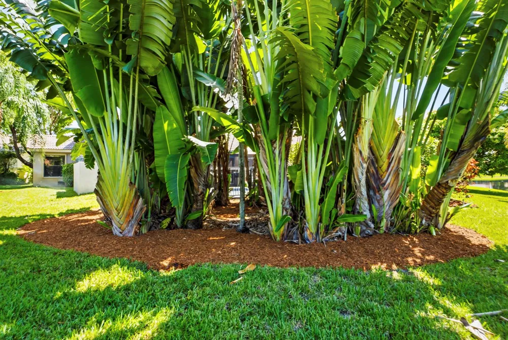 12020 NW 2nd Drive Coral Springs, FL 33071