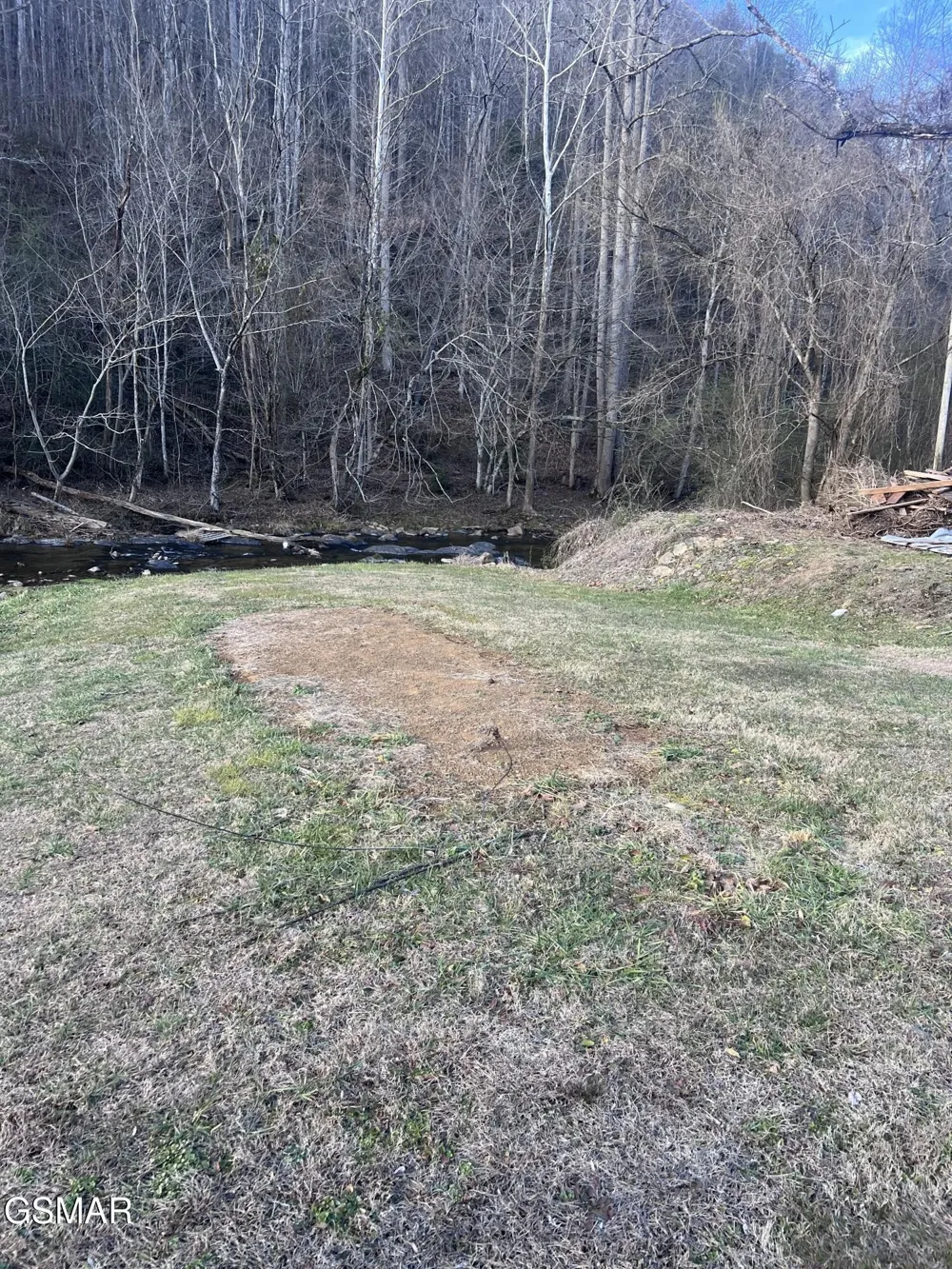 0 Blue Mill Road Del Rio, TN 37727