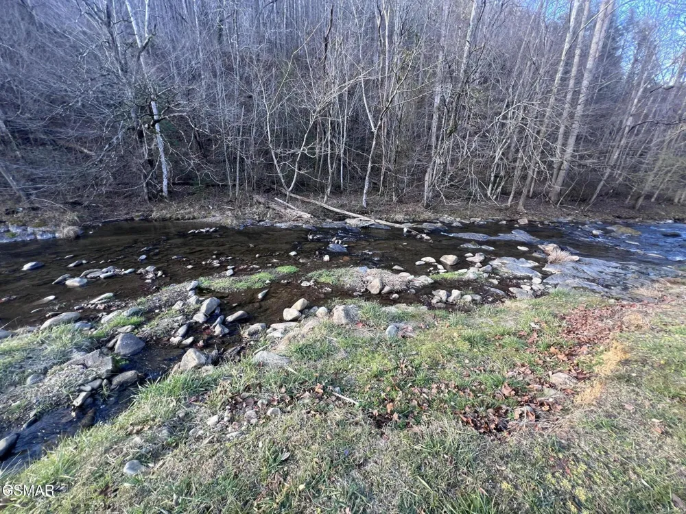0 Blue Mill Road Del Rio, TN 37727
