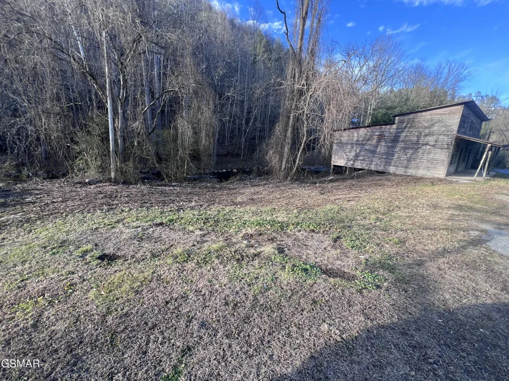 0 Blue Mill Road Del Rio, TN 37727