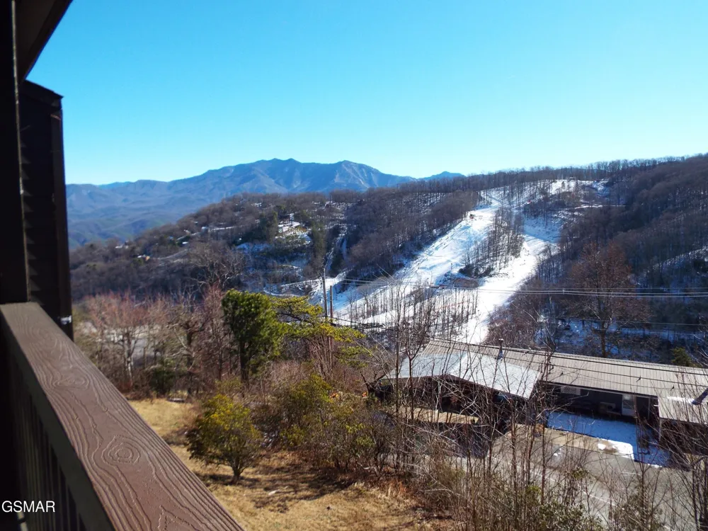 1380 Ski View Drive #3303 Gatlinburg, TN 37738