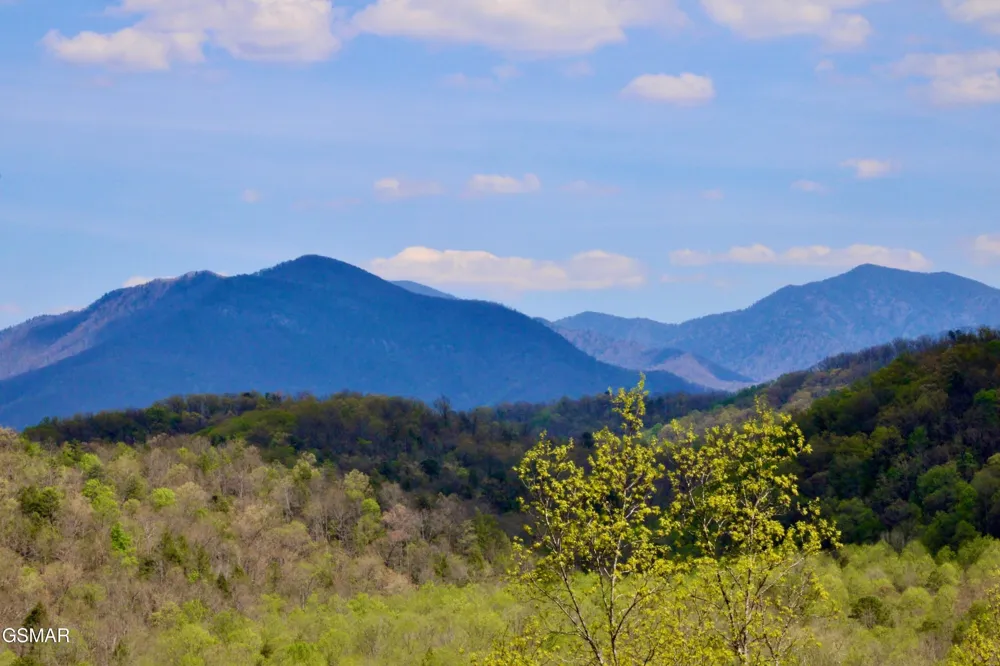 224 Woodland Road #103 Gatlinburg, TN 37738
