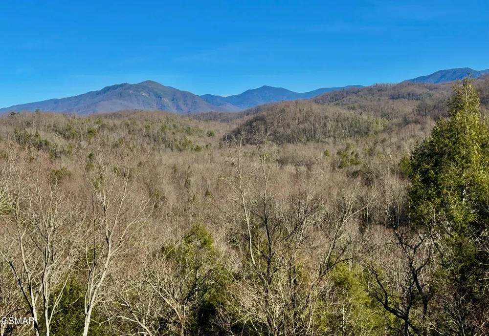 224 Woodland Road #103 Gatlinburg, TN 37738