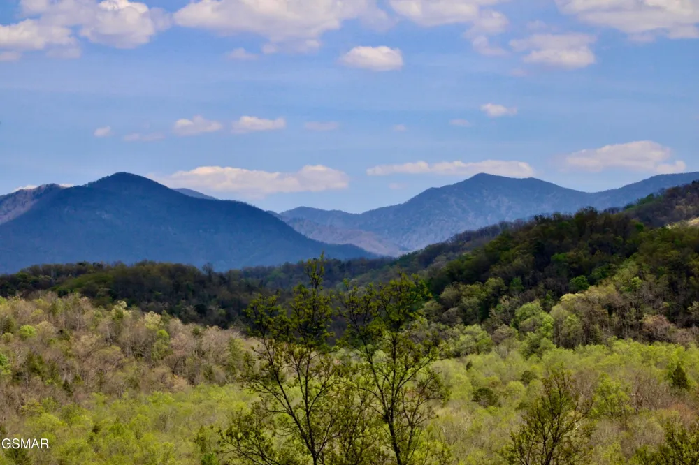 224 Woodland Road #103 Gatlinburg, TN 37738