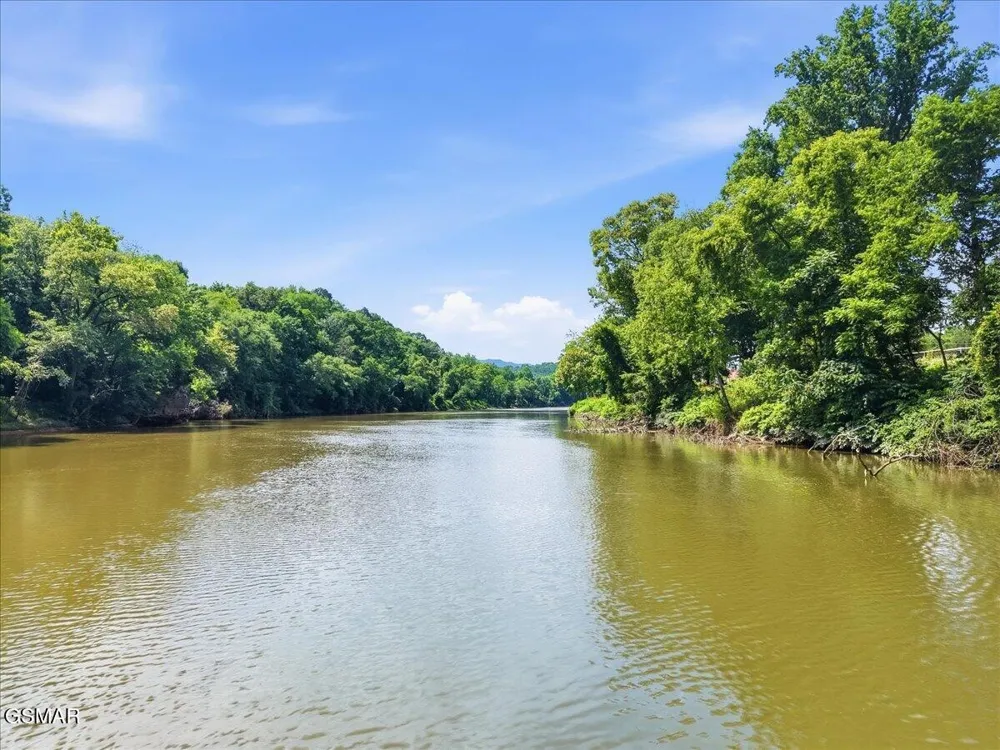 1485 River Chase Way Newport, TN 37821