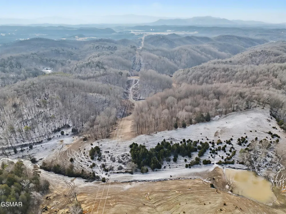 0 McAmis Hollow Road Newport, TN 37821