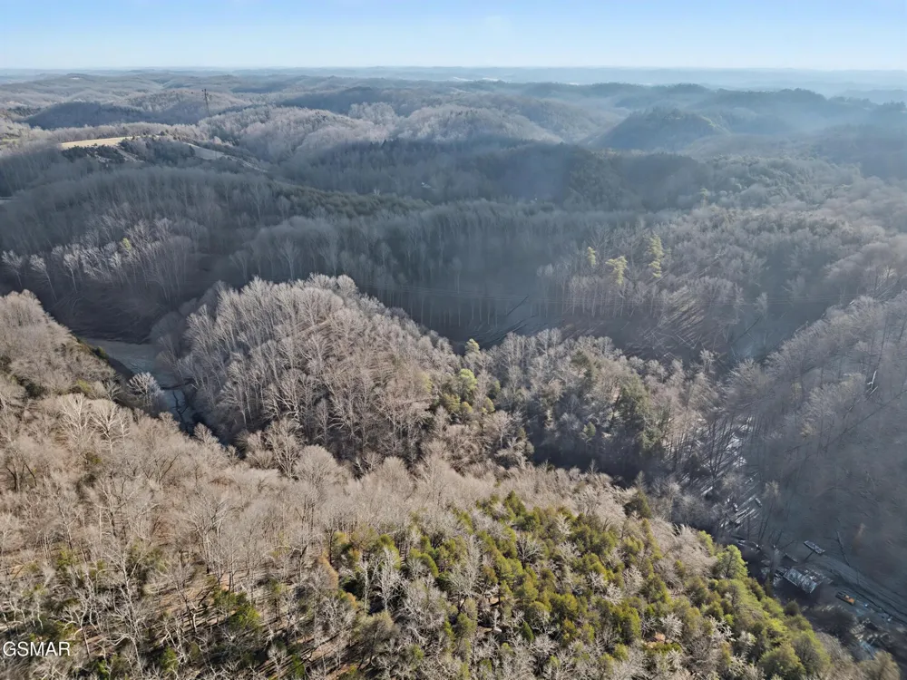 0 McAmis Hollow Road Newport, TN 37821
