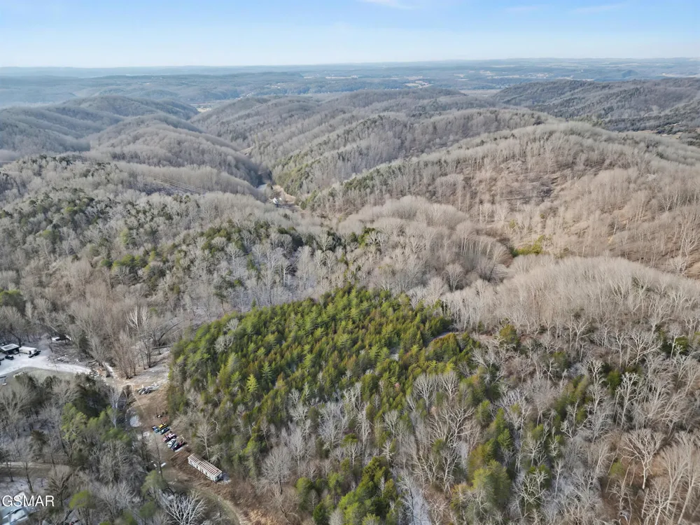 0 McAmis Hollow Road Newport, TN 37821